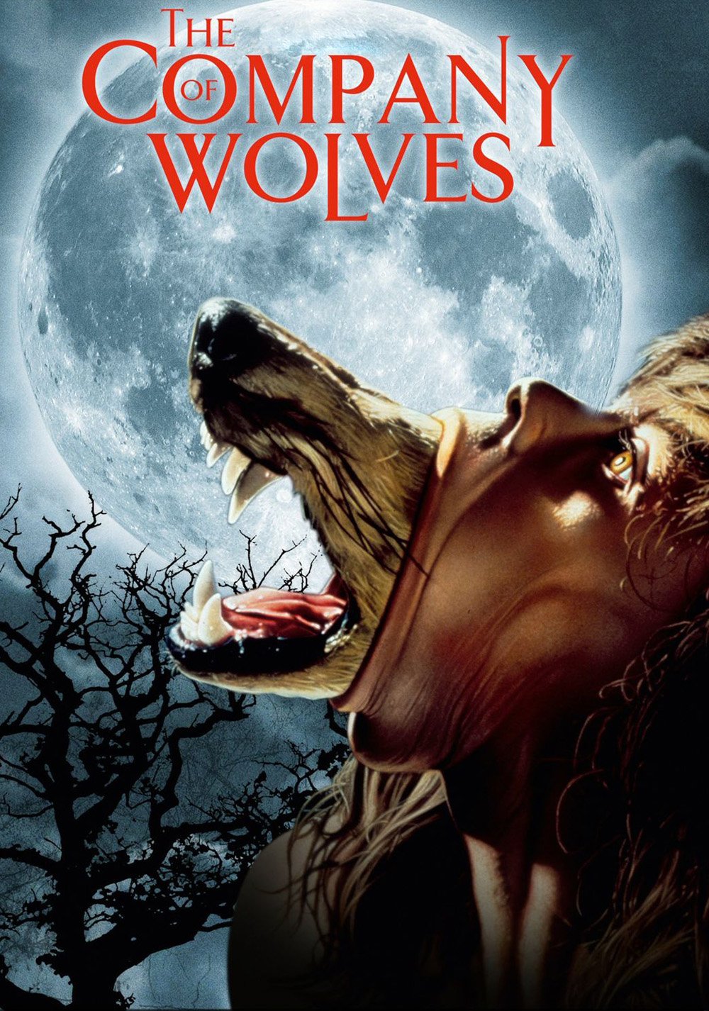 The Company of Wolves Movie Poster ID 134230 Image Abyss