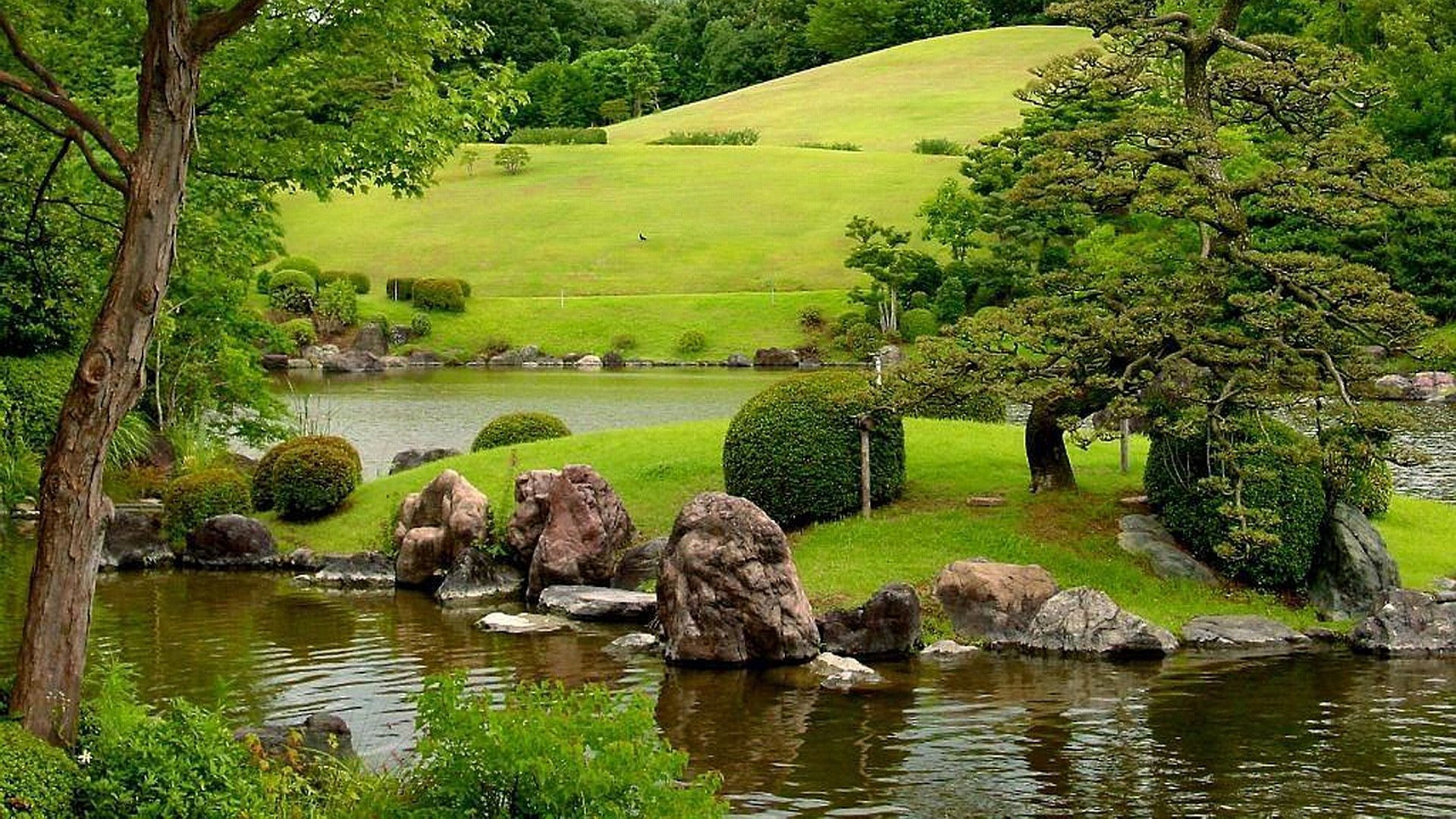 A serene view of a tranquil pond surrounded by lush greenery, sculpted bushes, and softly rolling hills, showcasing the beauty of nature in a scenic landscape.