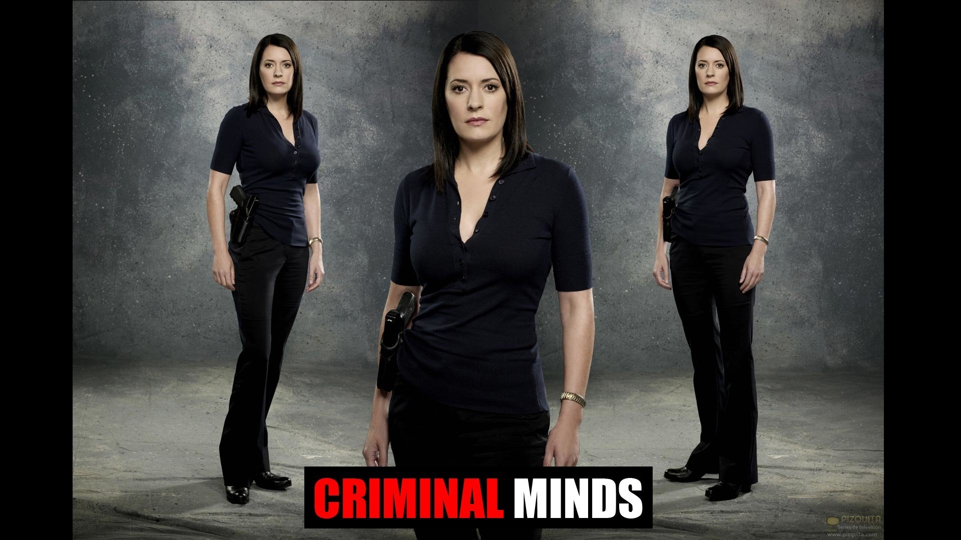 TV Show Criminal Minds Image