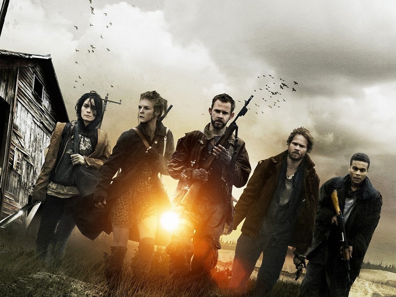 movie The Cold Light of Day Image