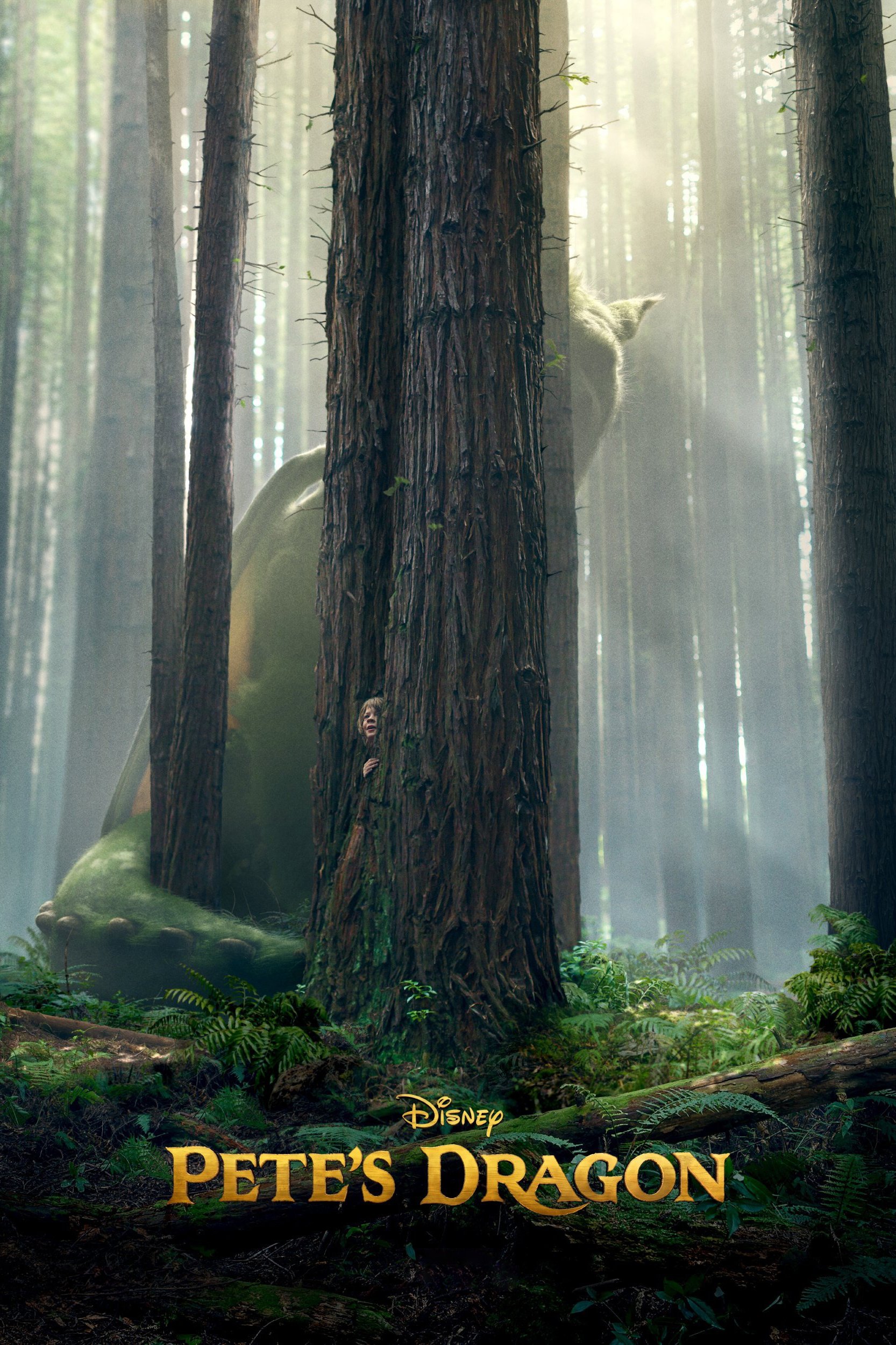movie Pete's Dragon (2016) Image