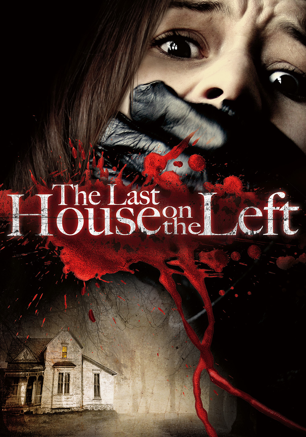 The Last House on the Left (2009) Picture