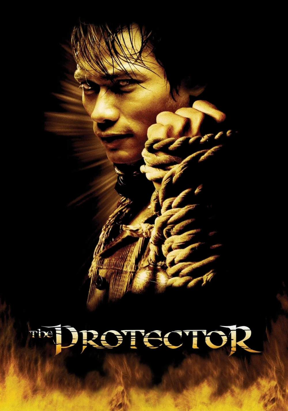 The Protector (2005) Picture