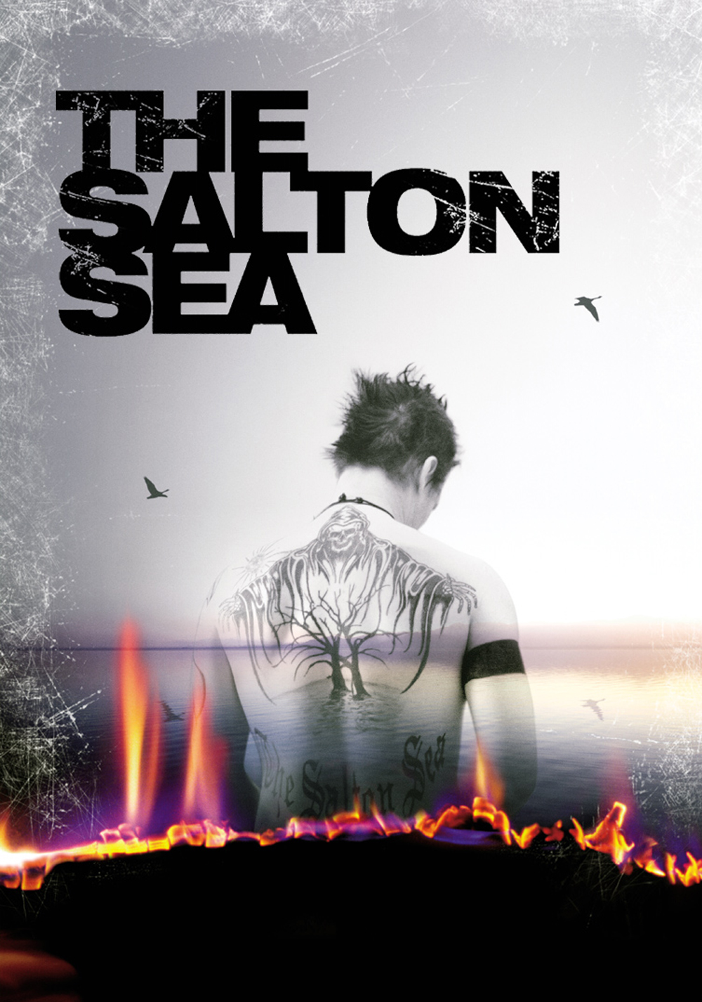 The Salton Sea Picture