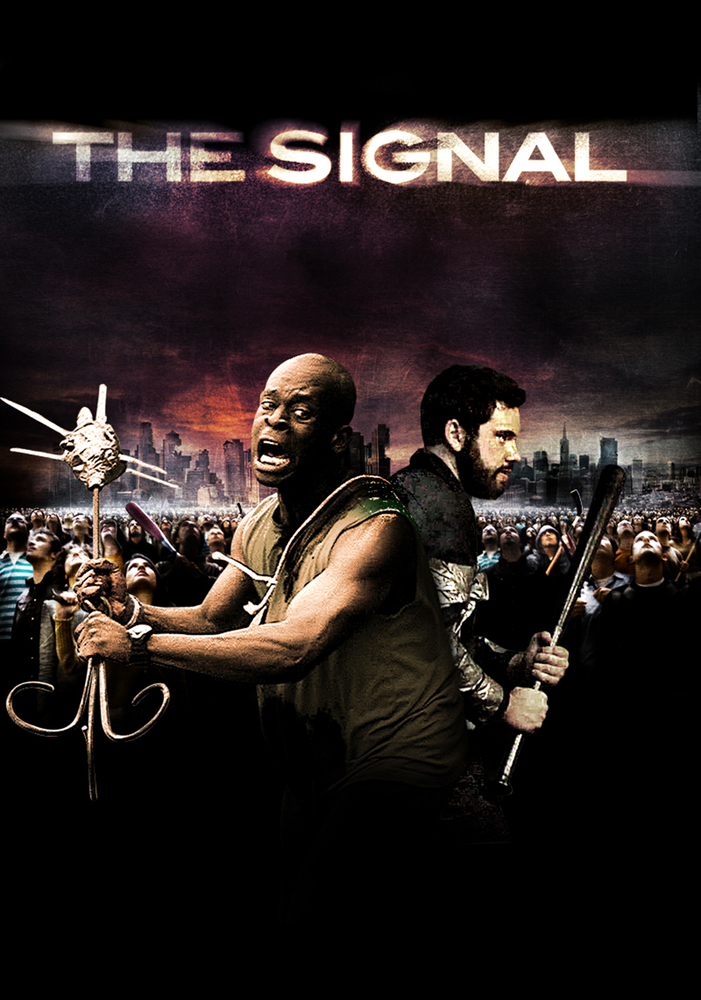 The Signal Picture