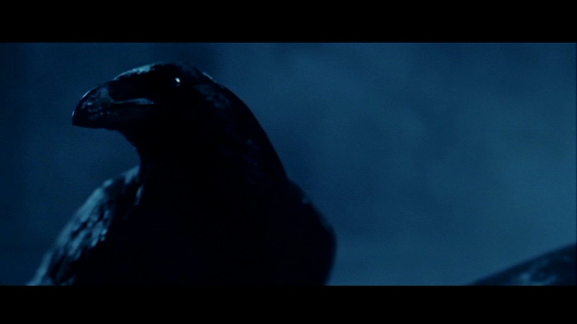 movie The Raven Image