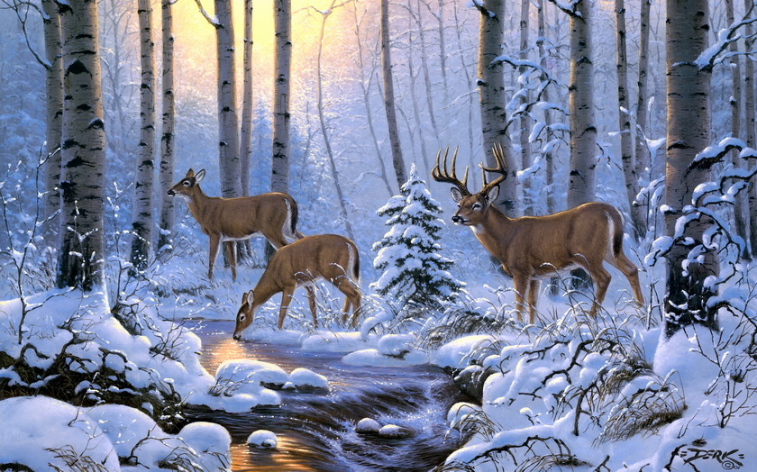 Deer in Winter Birch Forest by Derk Hansen - Image Abyss