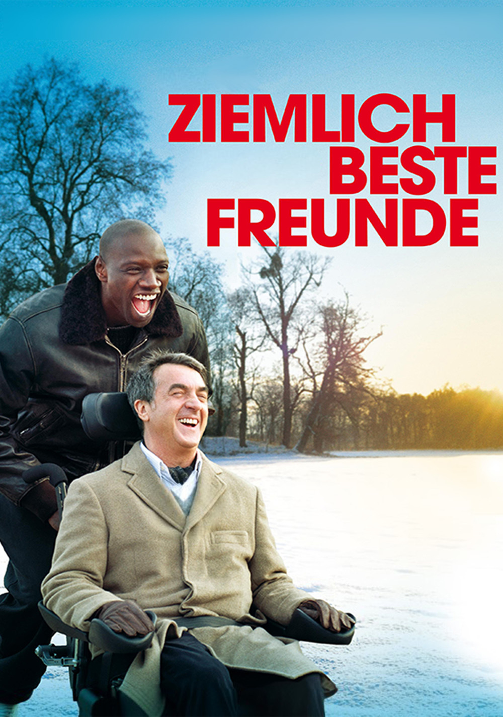 The Intouchables Picture