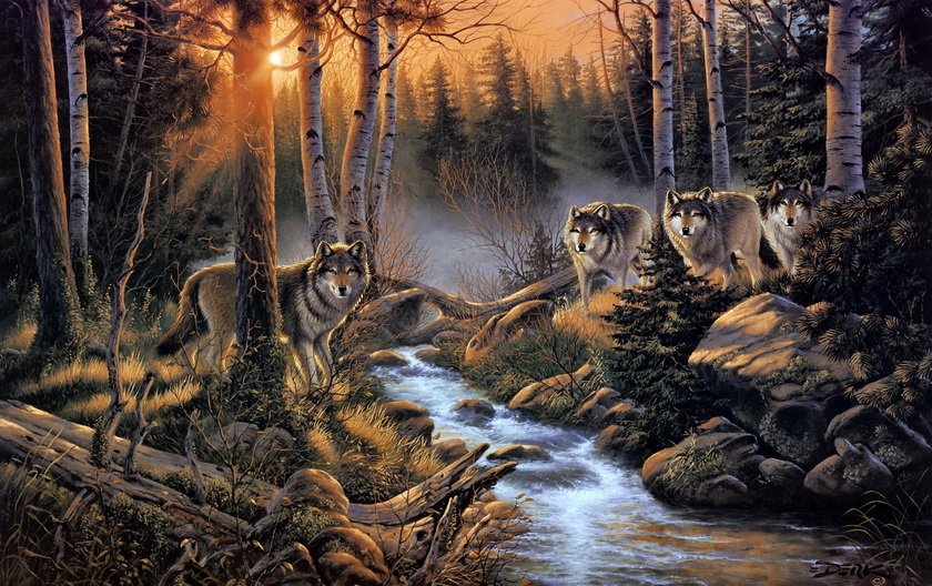  Wolves in the Forest by Derk Hansen
