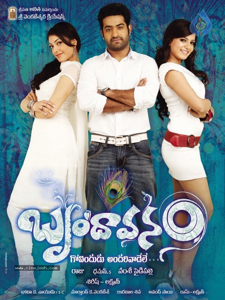 movie Brindavanam Image