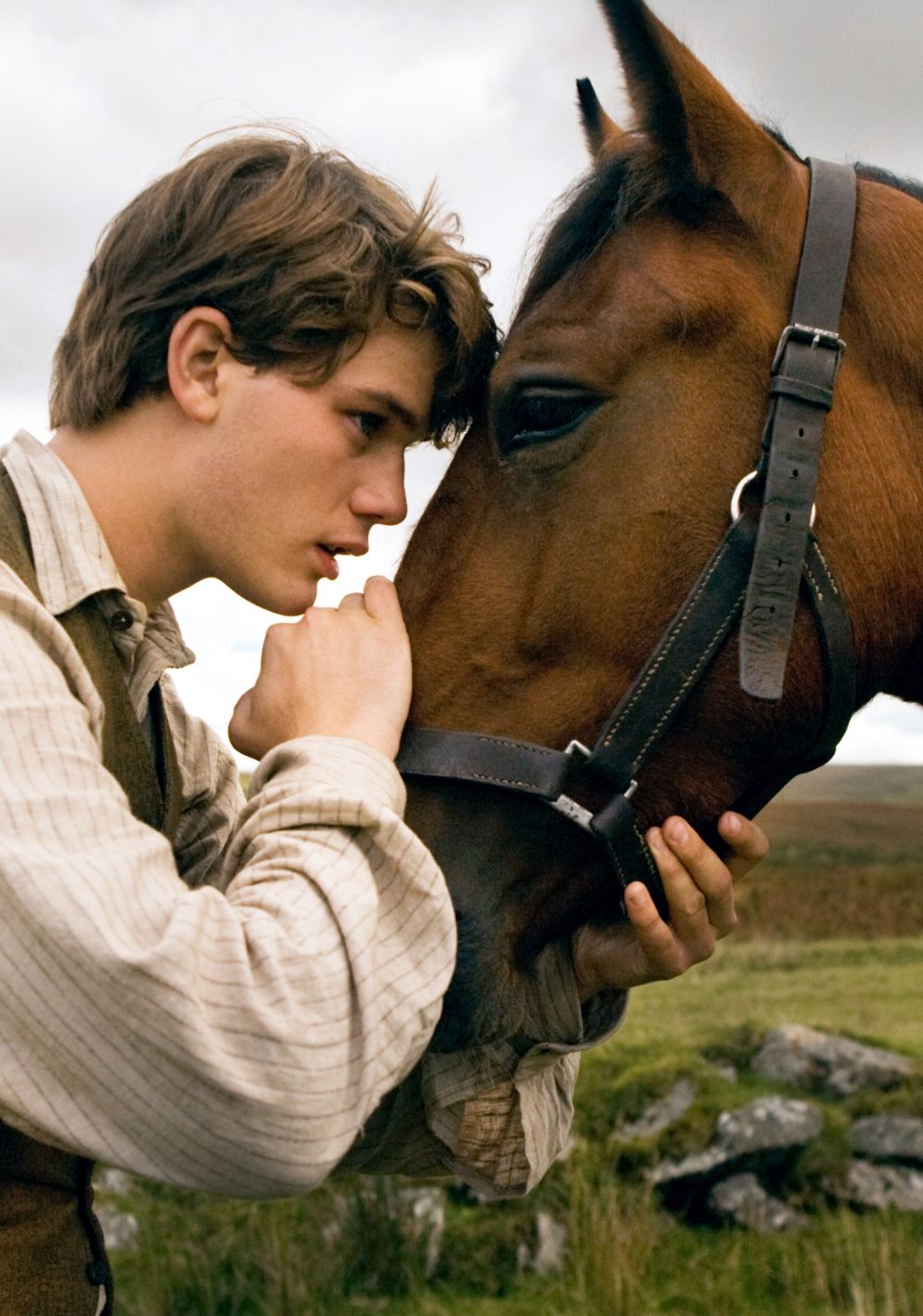War Horse Picture
