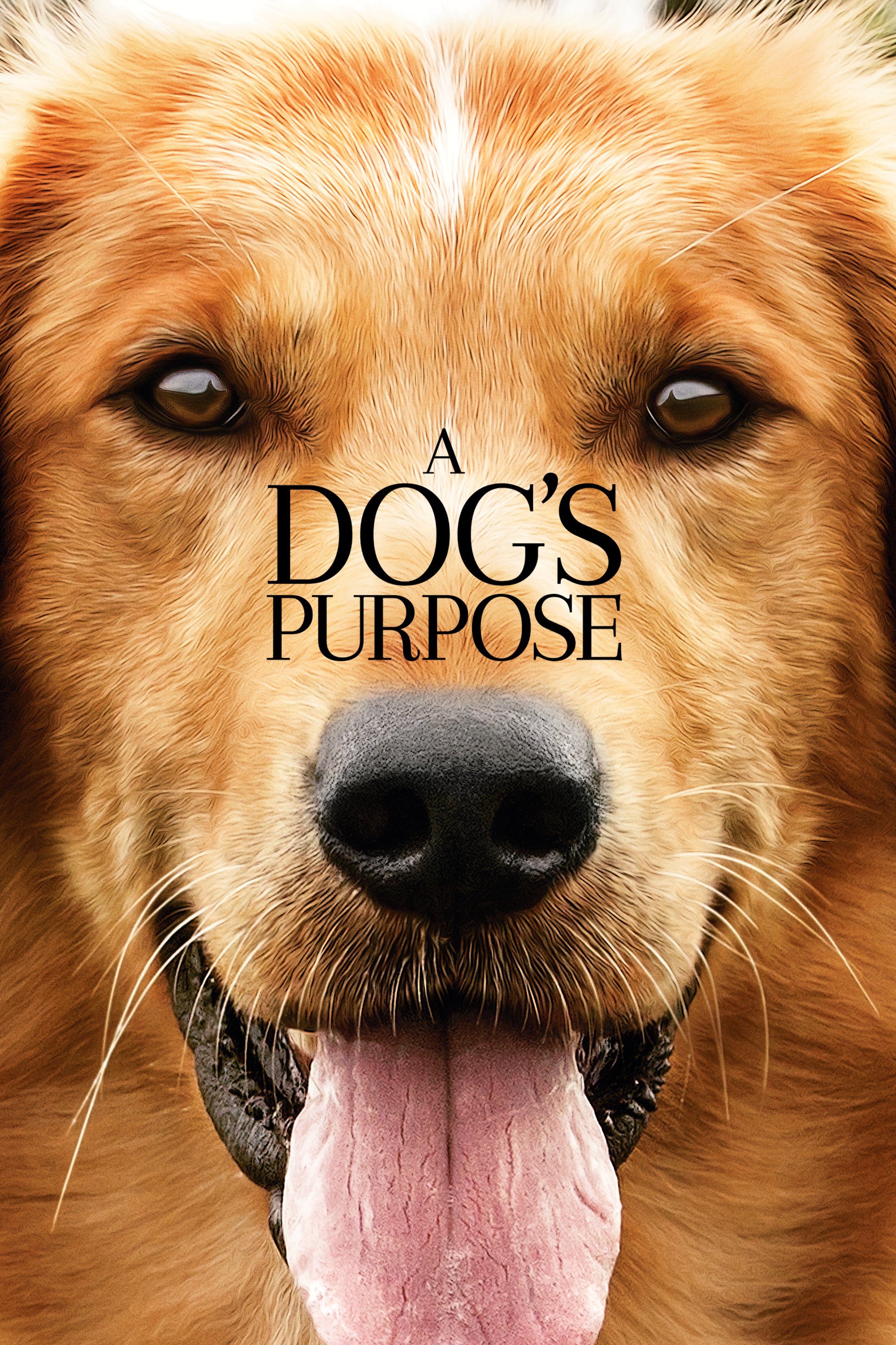 A Dog's Purpose Picture