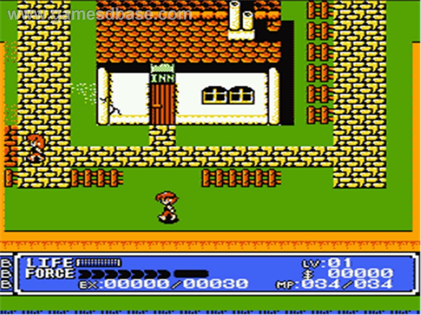 video game crystalis Image