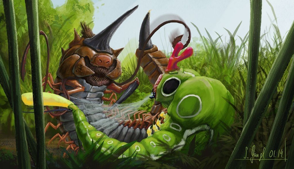 Download Video Game Pokemon Insect Battle Nature Image