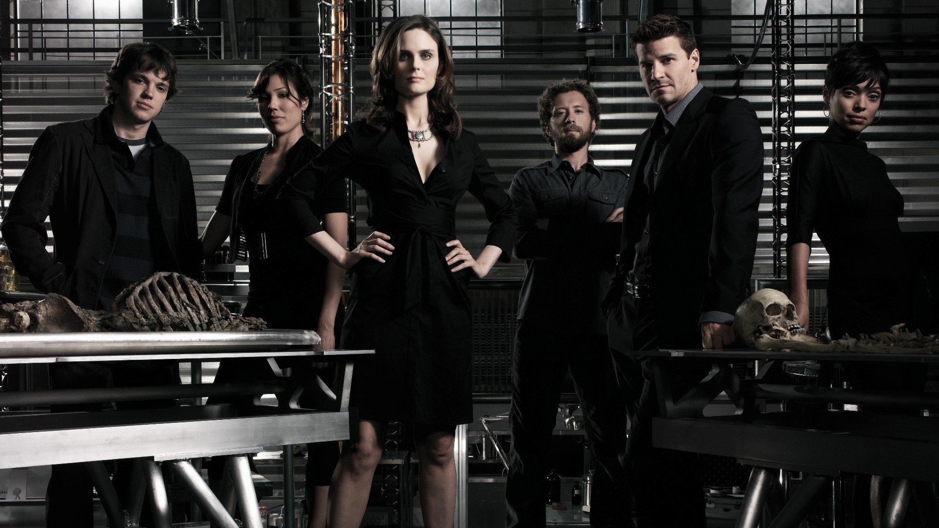 TV Show bones Image