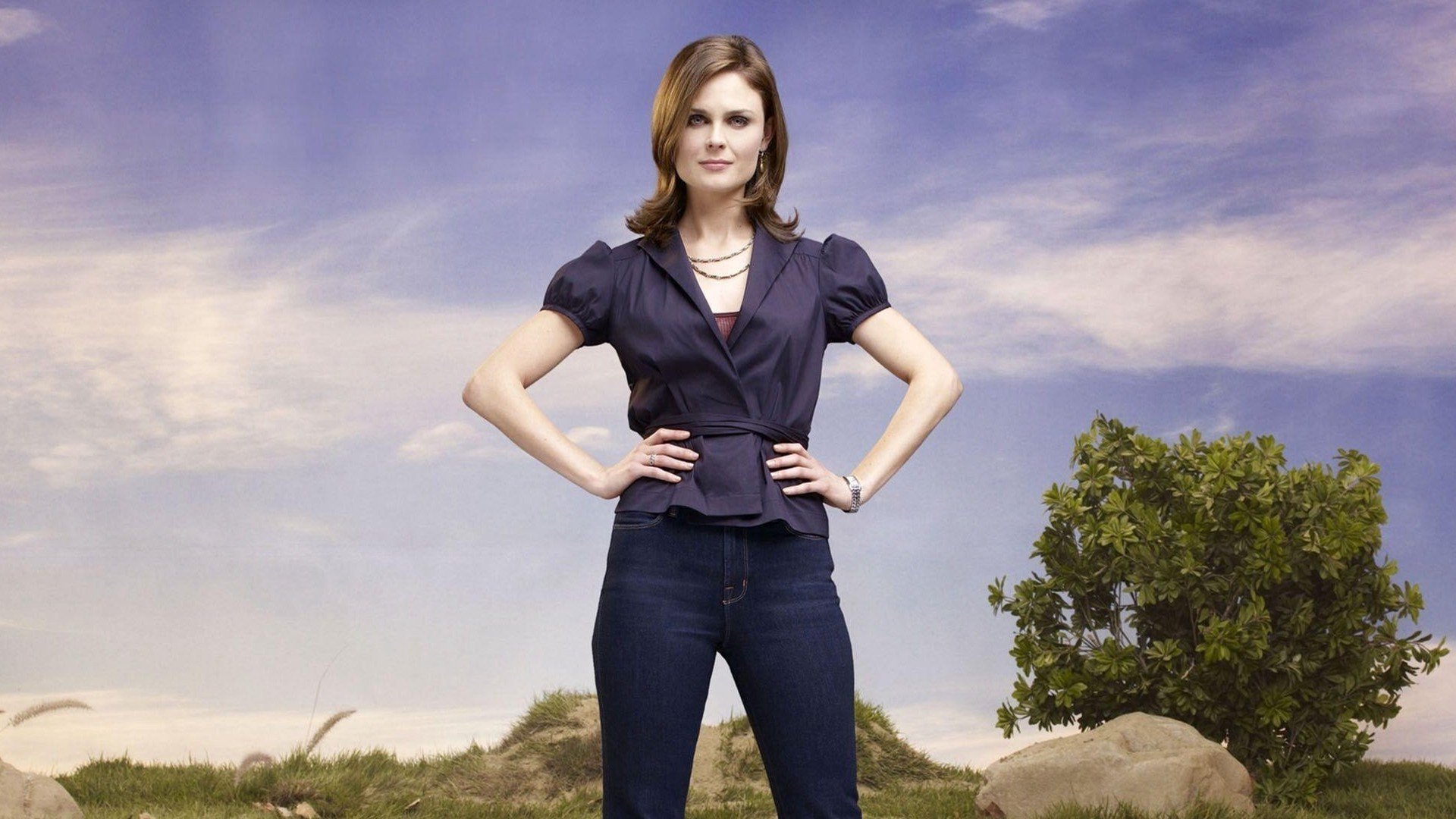 TV Show bones Image