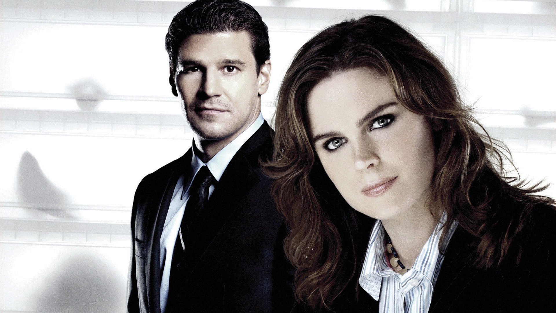 TV Show bones Image