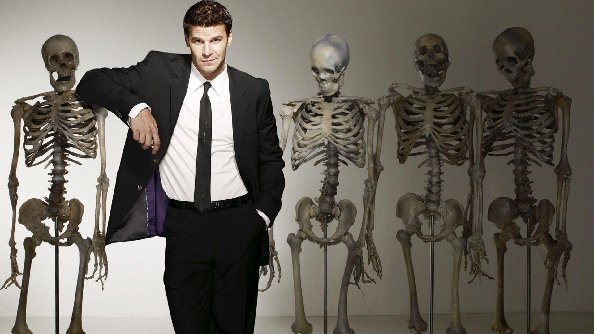 TV Show bones Image