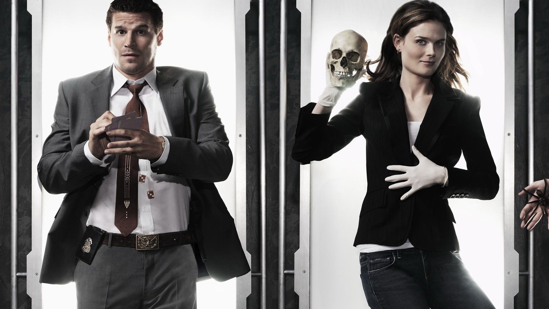 TV Show bones Image