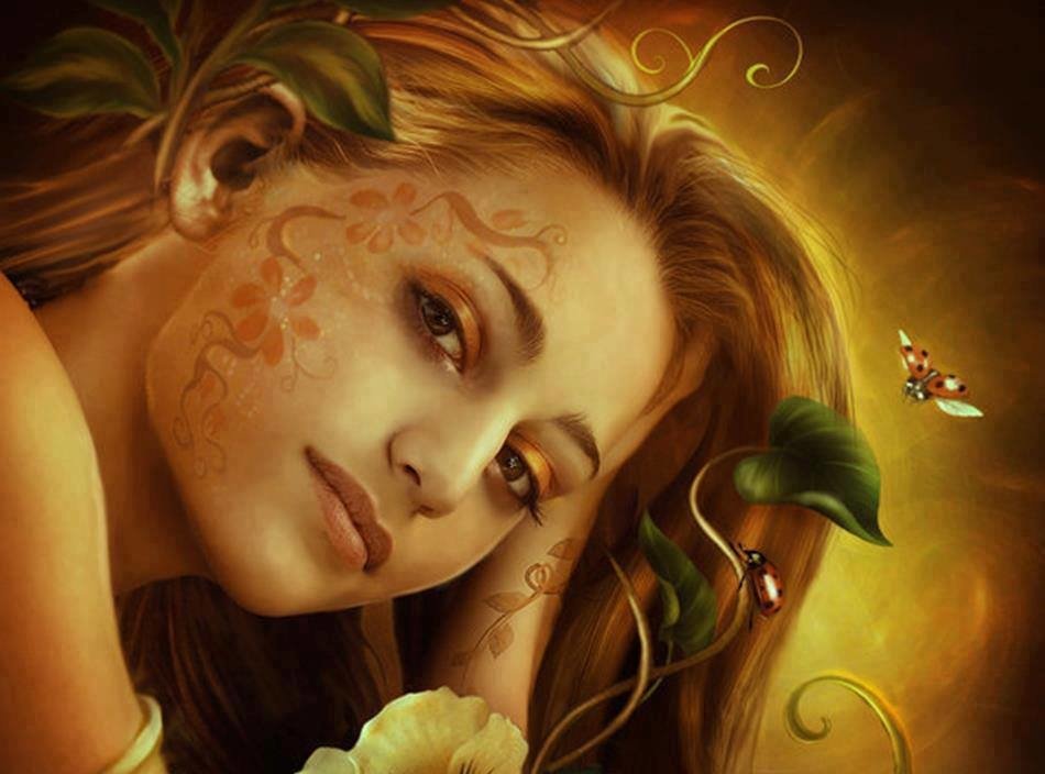 Download Leaf Ladybug Flower Fantasy Fairy Image