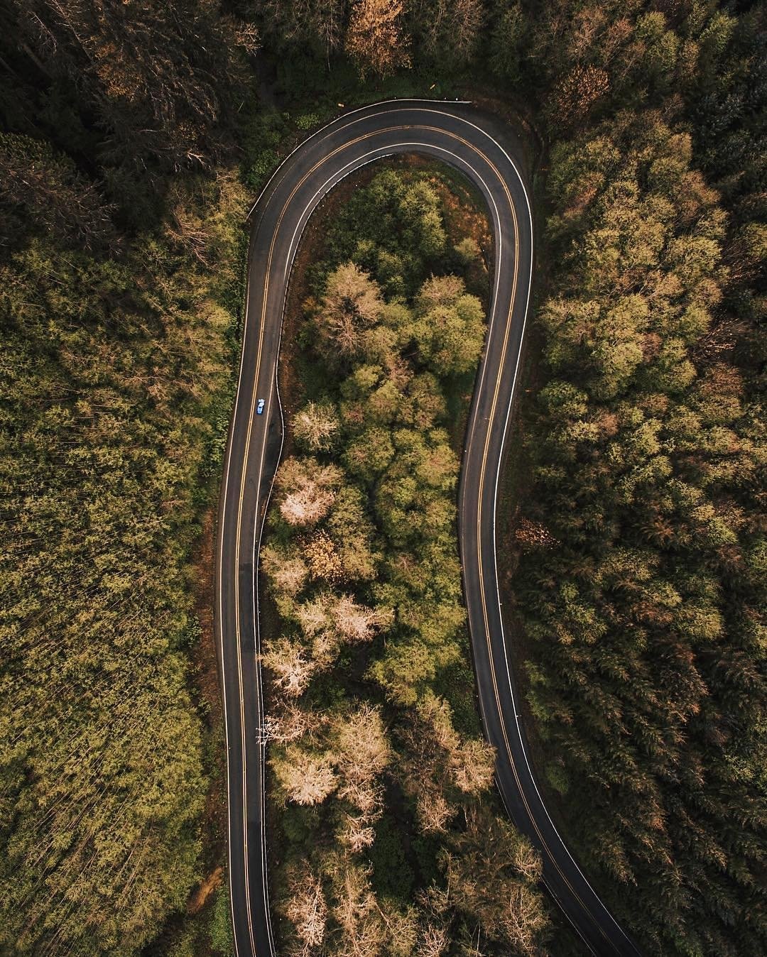 An aerial view of a winding road cuts through a dense forest, showcasing the contrast between the man-made structure and the lush greenery surrounding it.