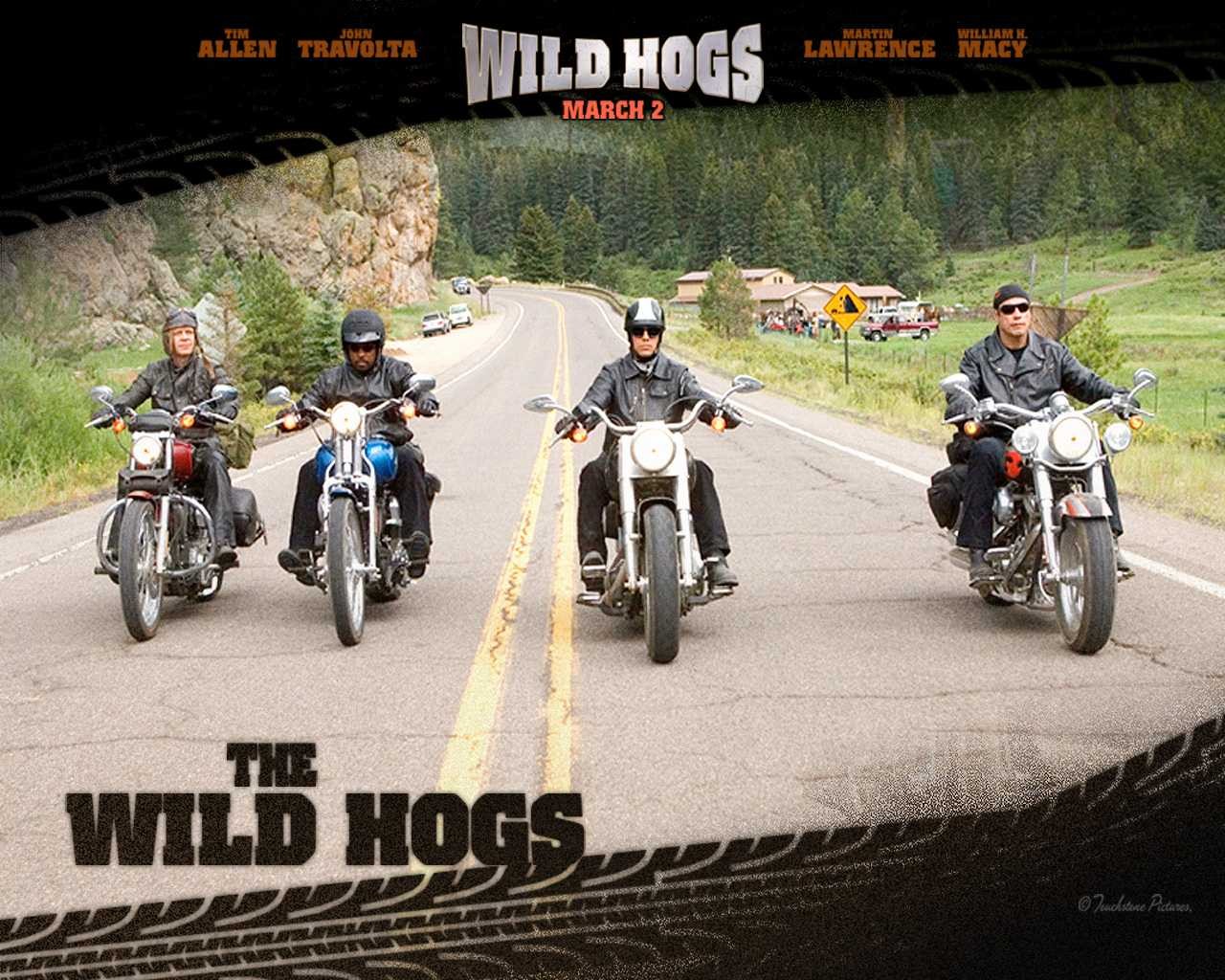 Wild Hogs Picture