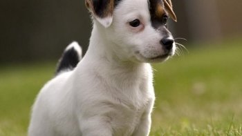 Preview Image 143829