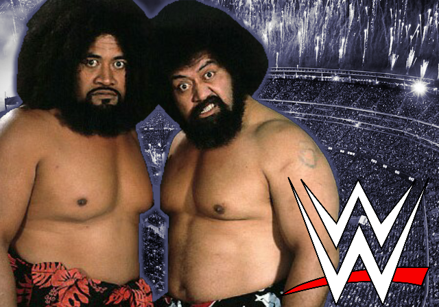 wild samoans