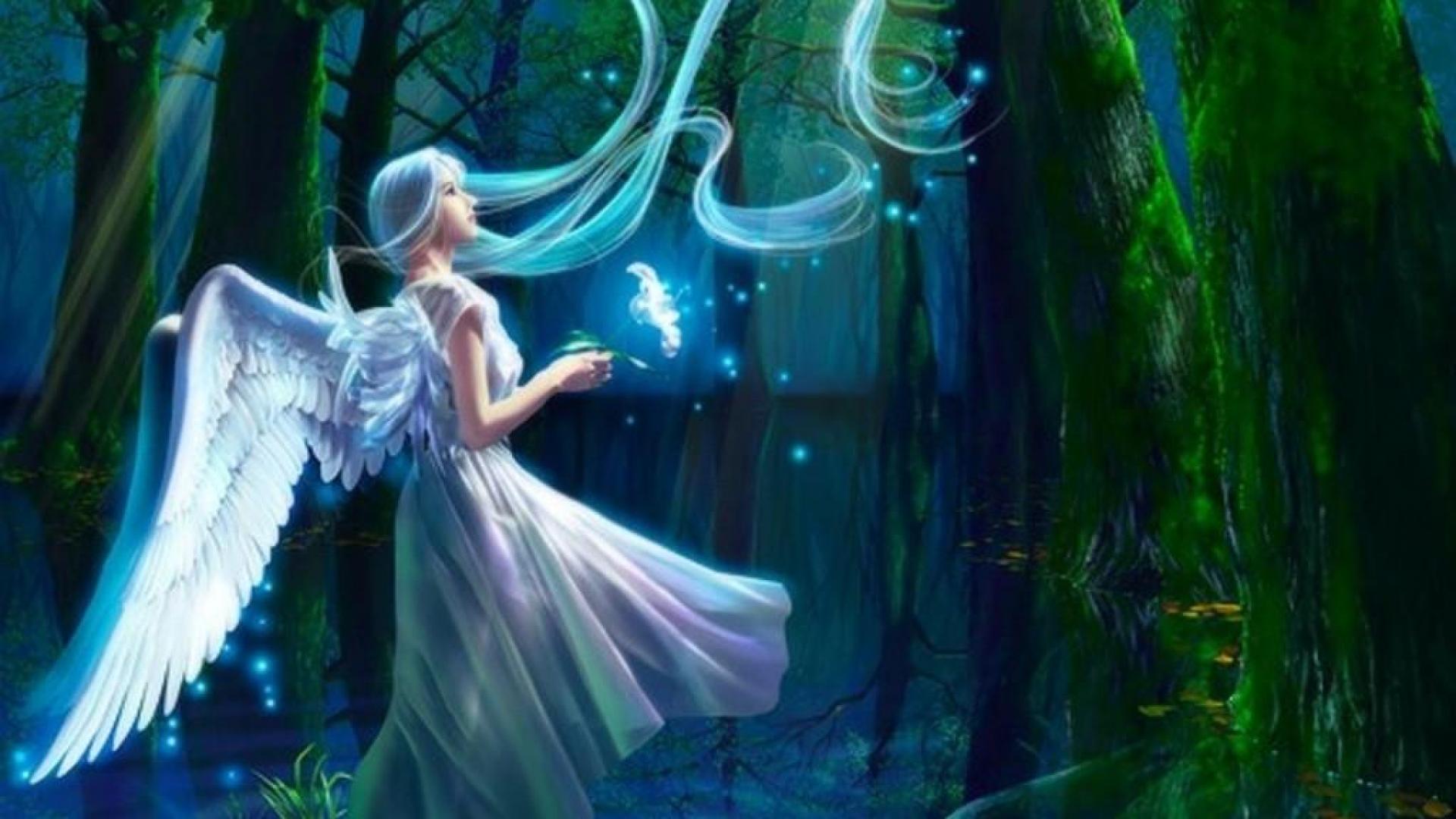 Angel in Enchanted Forest - Image Abyss