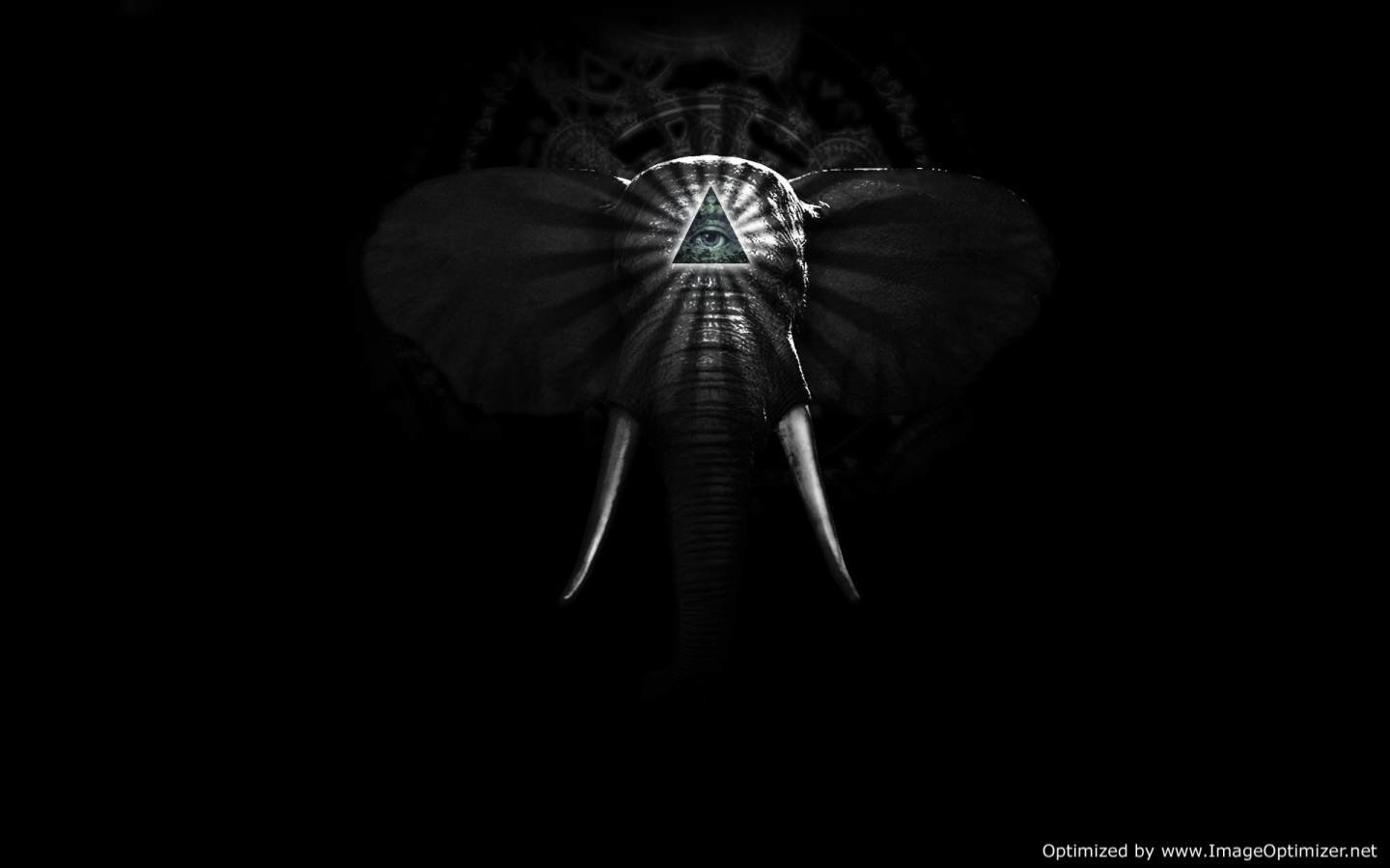 Black & White fantasy elephant Image