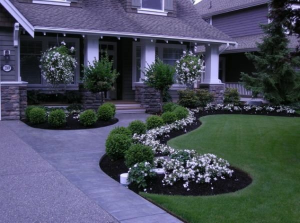  Modern Minimal Lanscaping