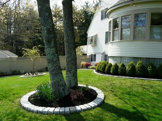  Tree Border Landscaping