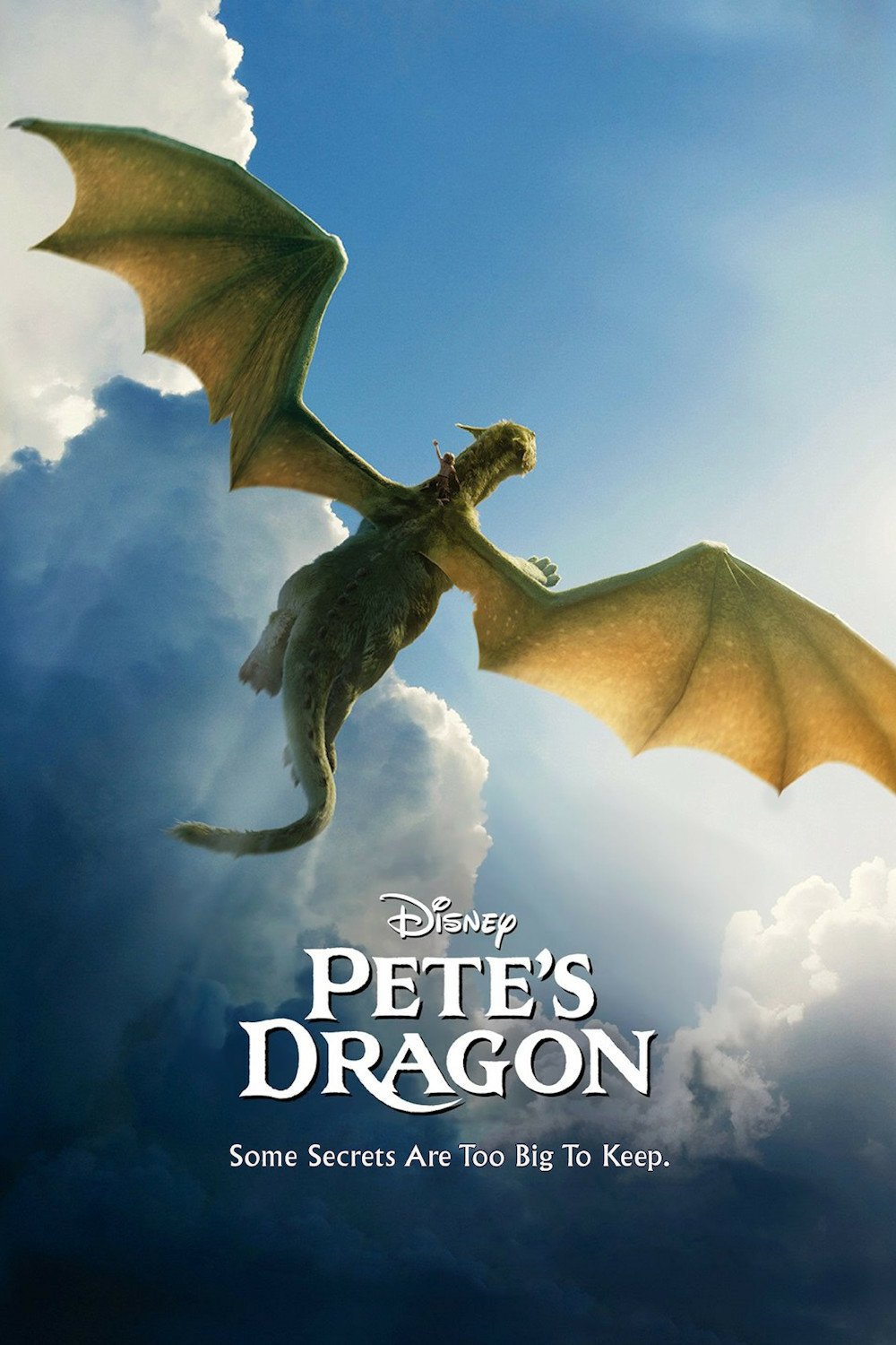 movie Pete's Dragon (2016) Image