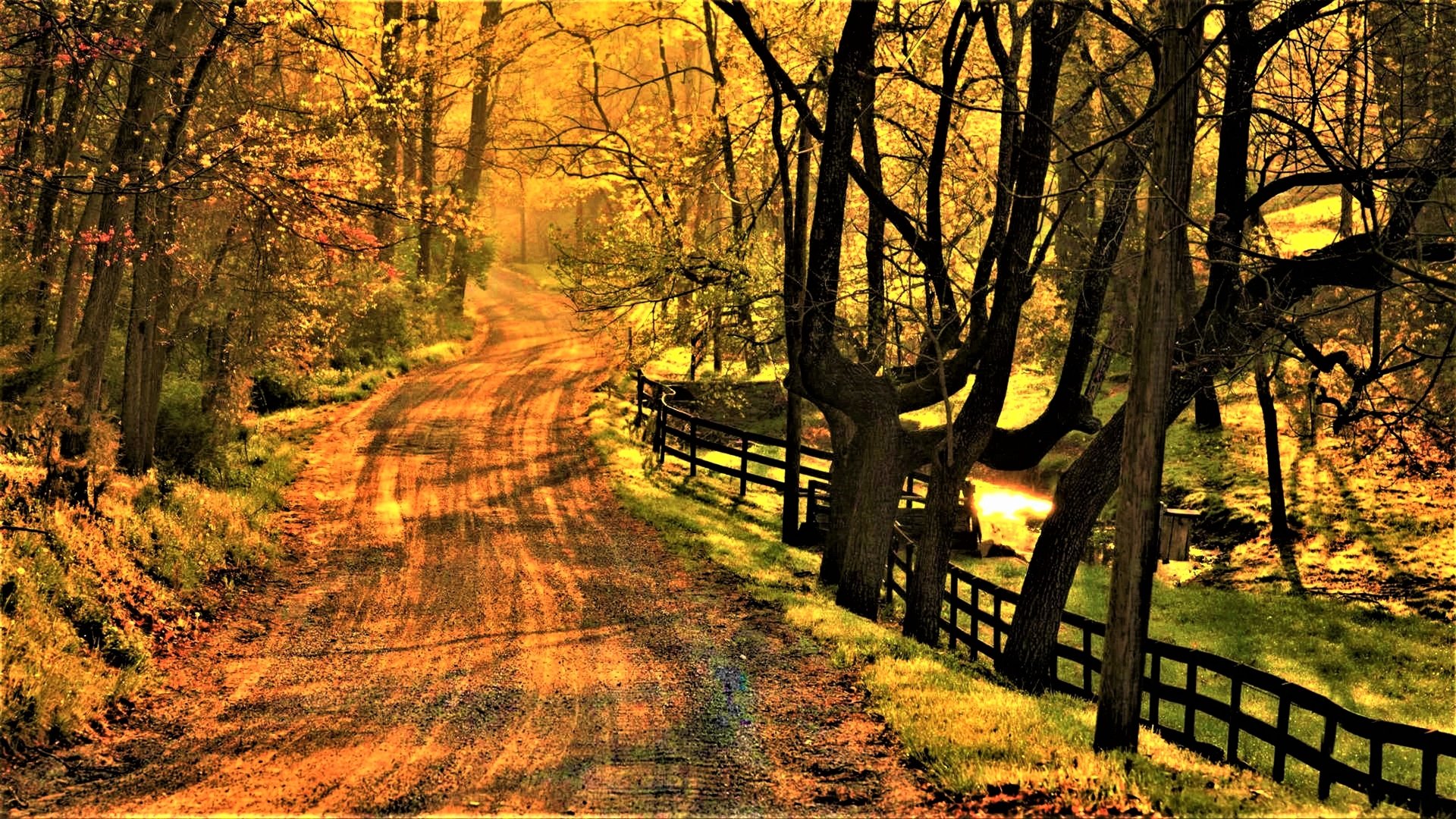 A colorful autumn scene featuring a dirt road lined with a wooden fence and vibrant trees, illuminated by warm sunlight filtering through the foliage.