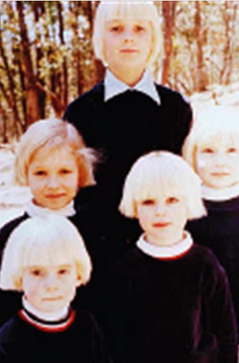 movie The Family Image