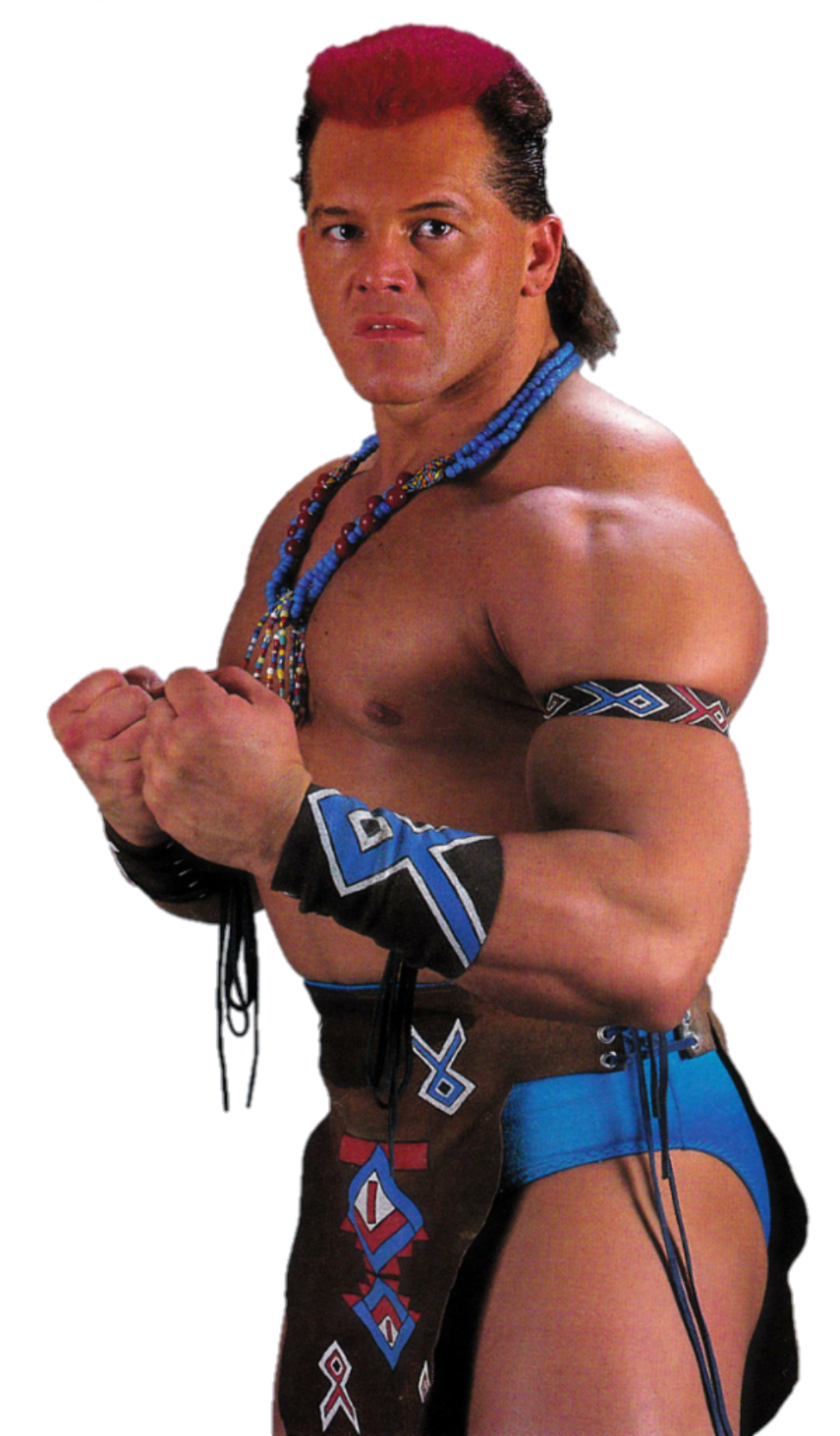 tatanka wwf