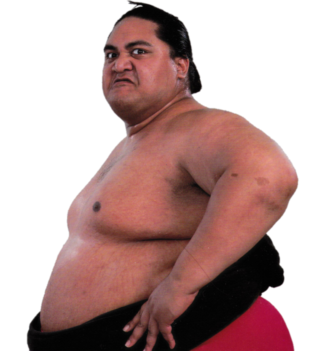 Yokozuna спорт