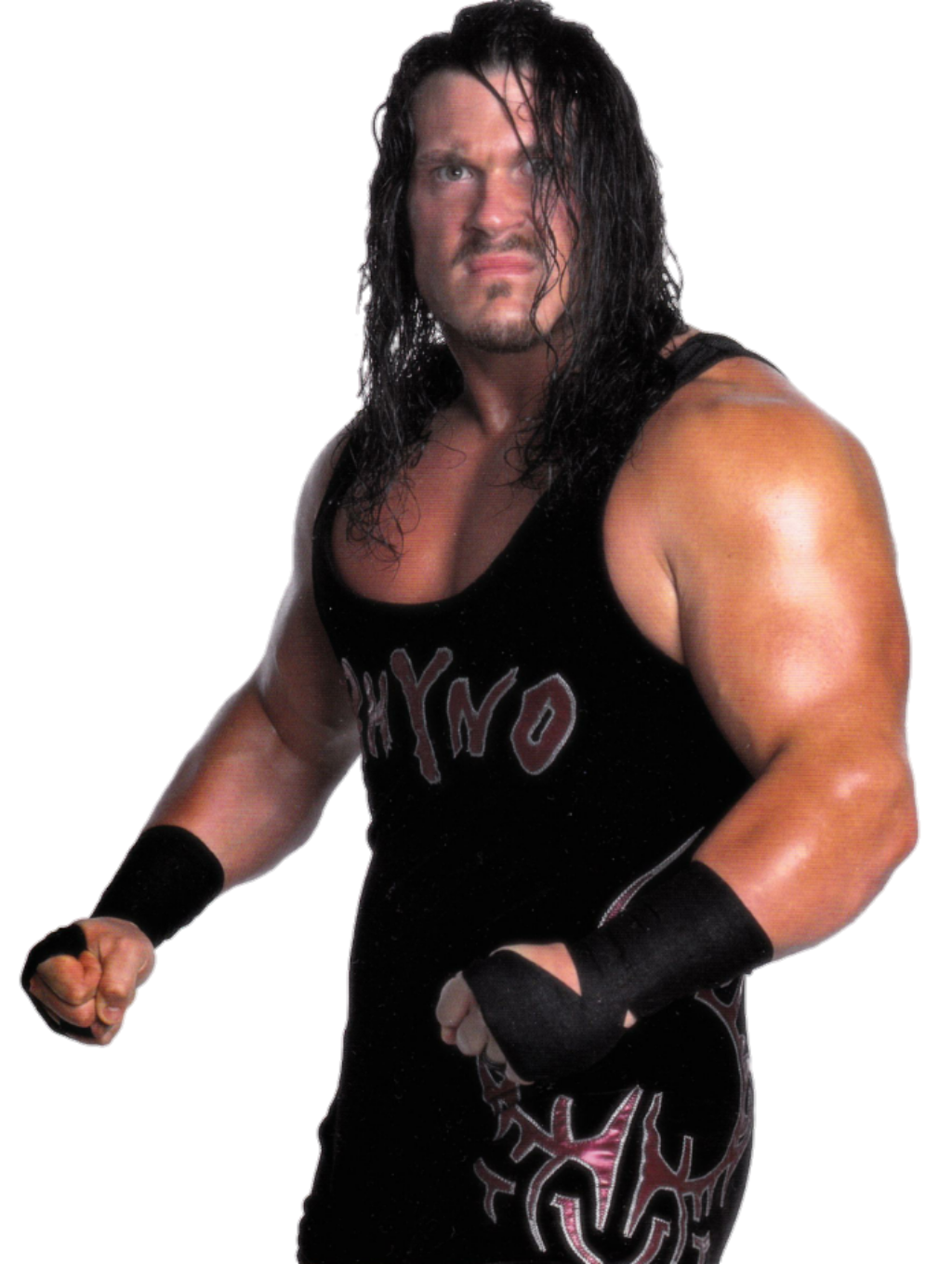 Rhyno - WWE - Image Abyss