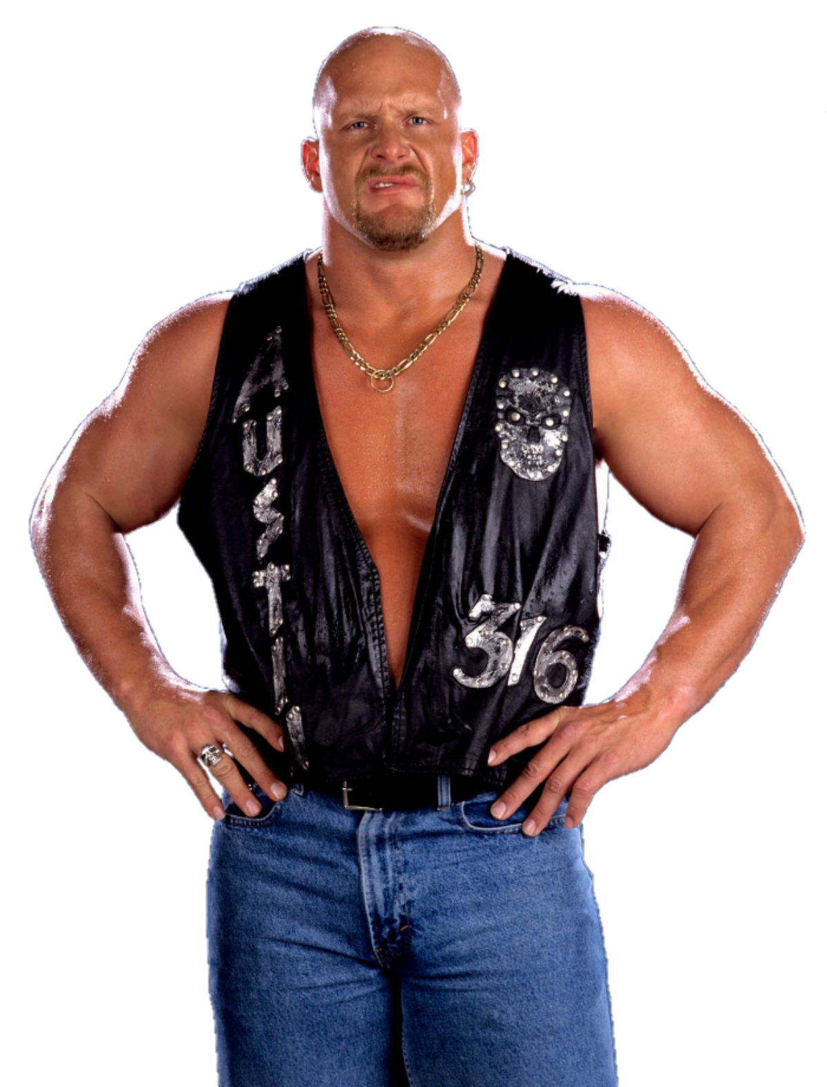 Stone Cold Steve Austin | Heroes Wiki | Fandom Powered By Wikia: The ...