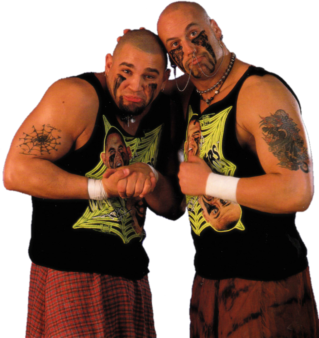 The Headbangers - WWE Image - ID: 150127 - Image Abyss