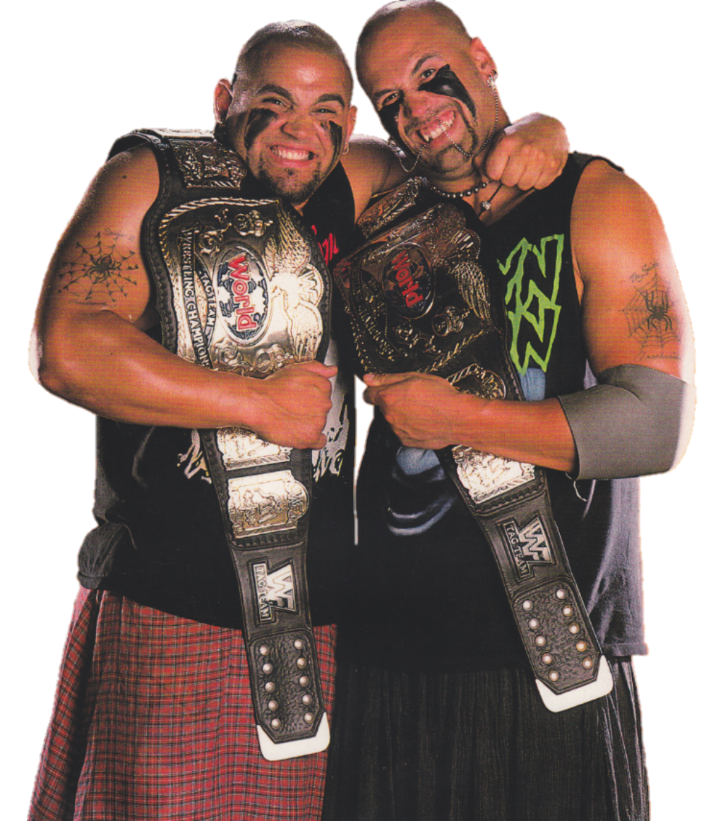 The Headbangers - WWE Image - ID: 150131 - Image Abyss