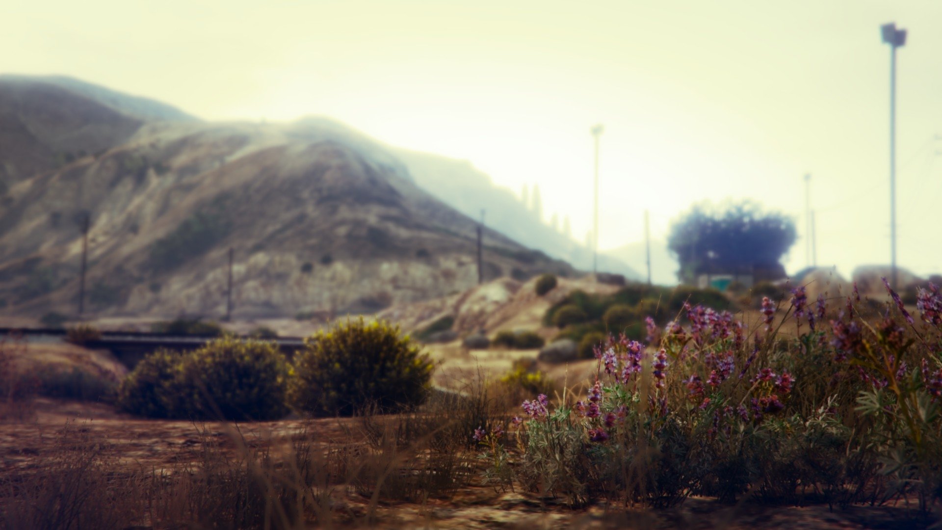 wildflower video game Grand Theft Auto V Image