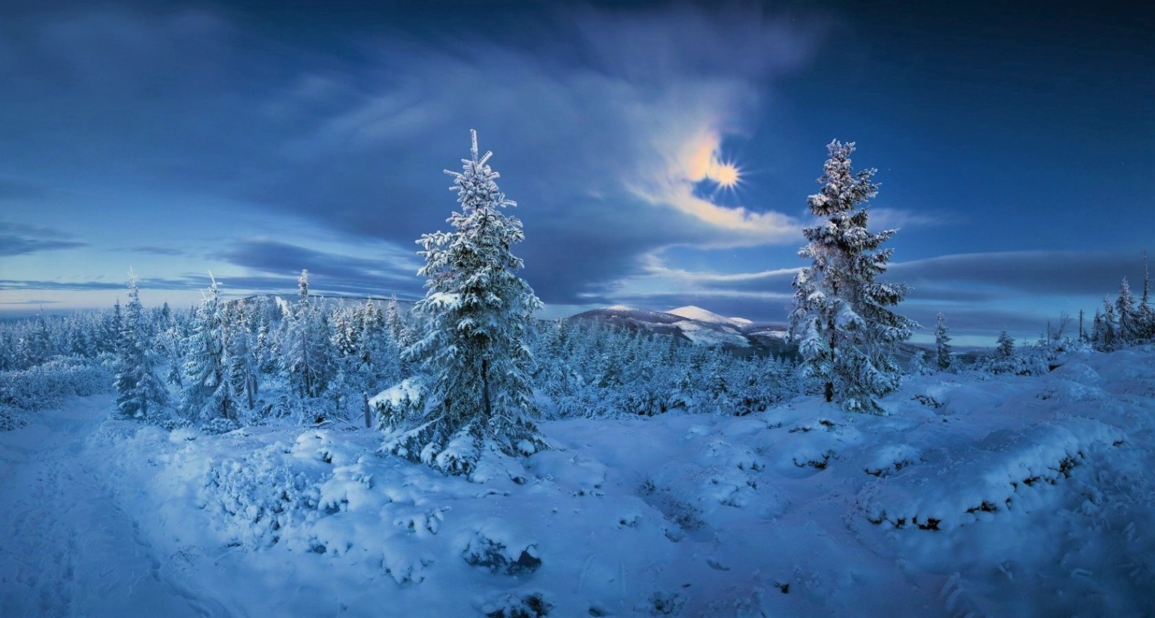 Winter Landscape - Image Abyss