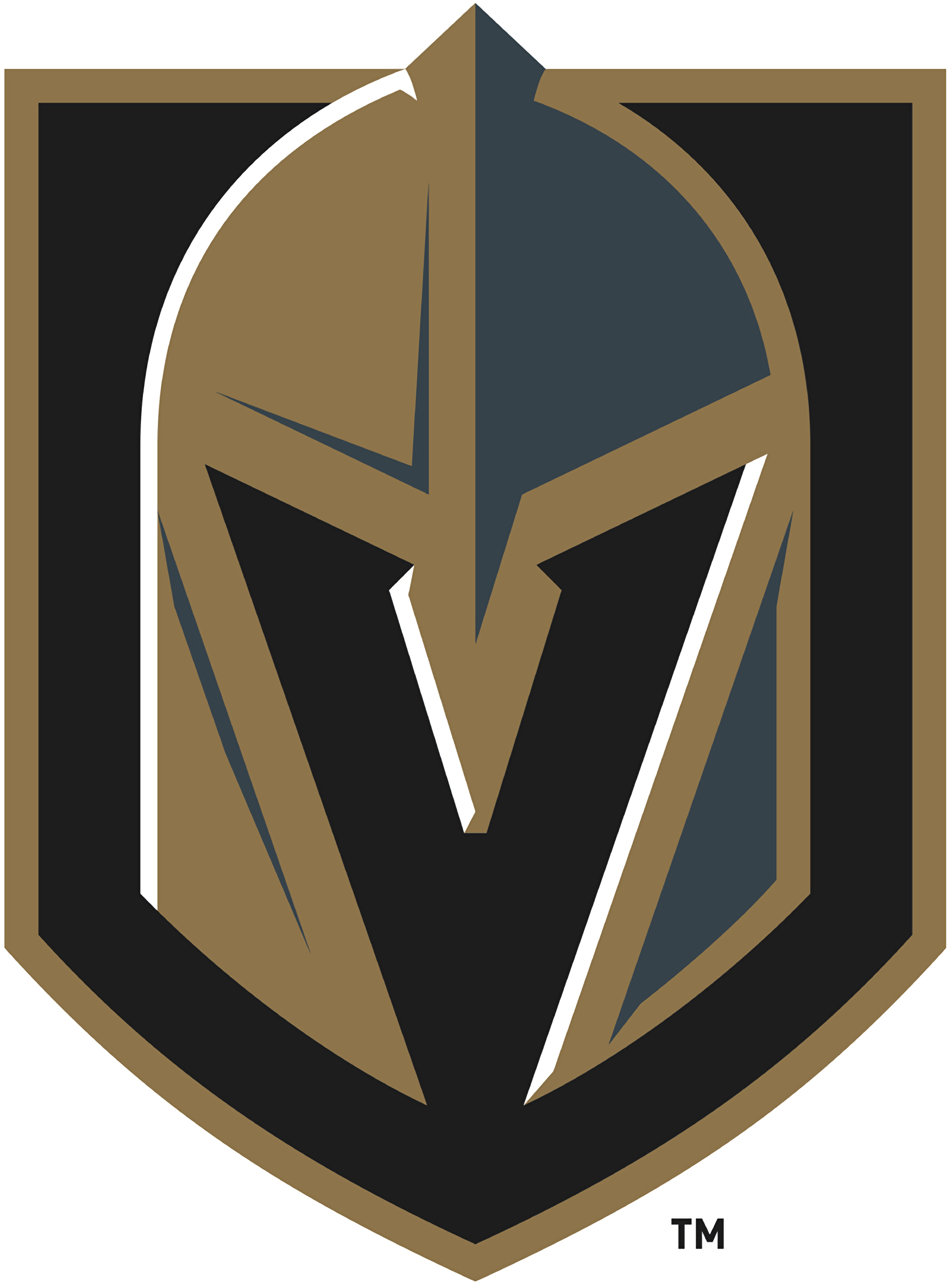 Vegas Golden Knights Picture