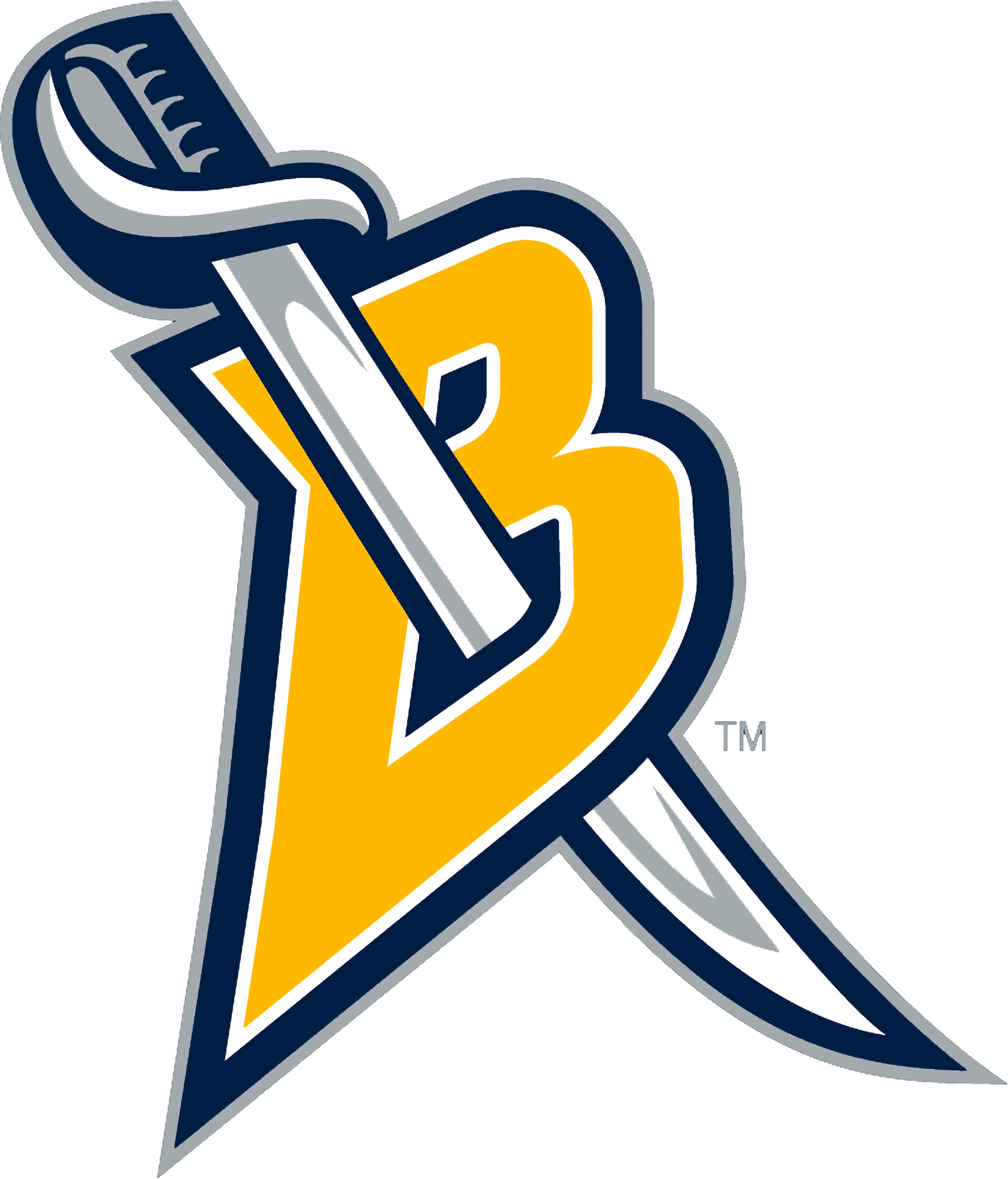 Buffalo Sabres Sports Image