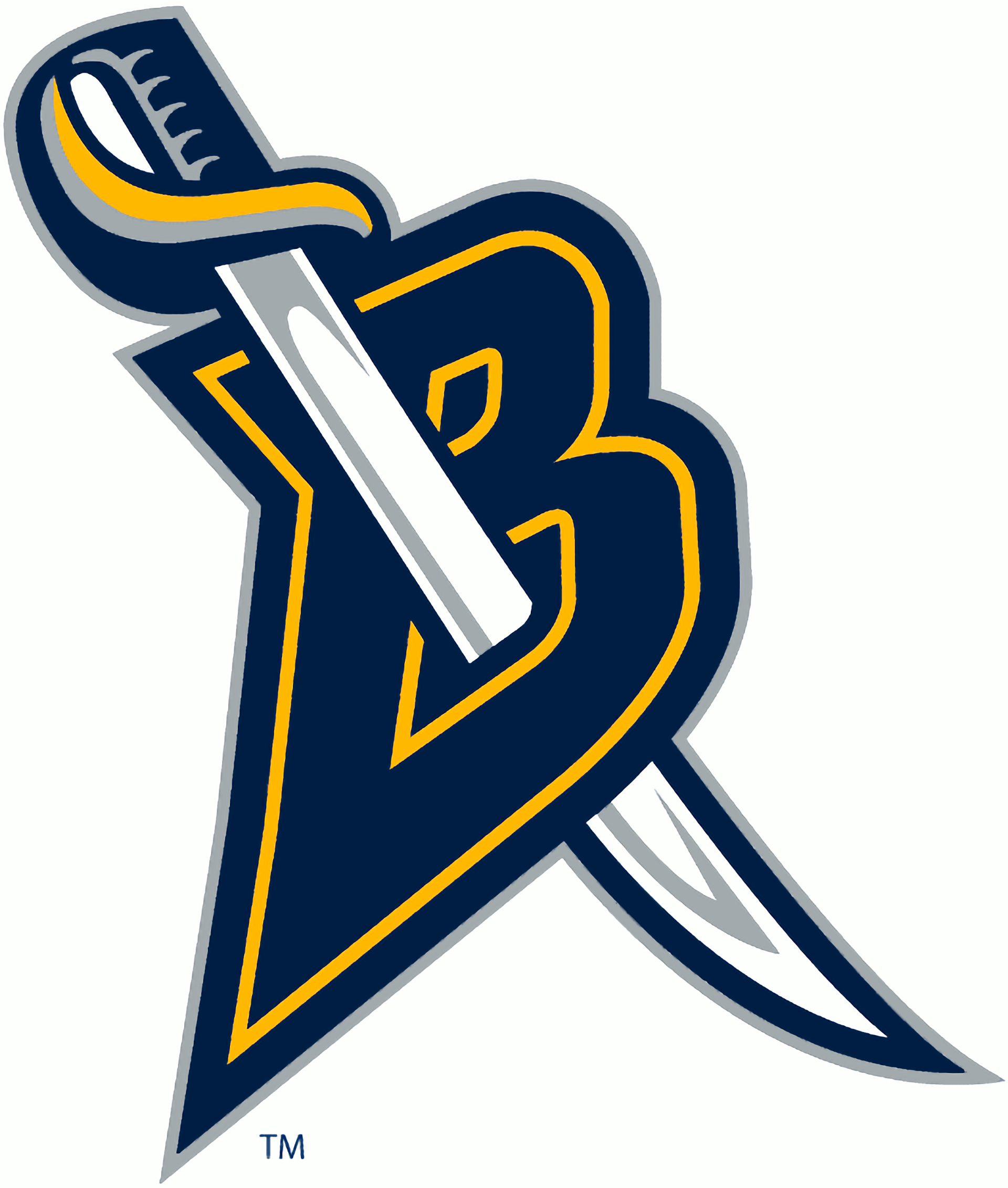 Buffalo Sabres Sports Image