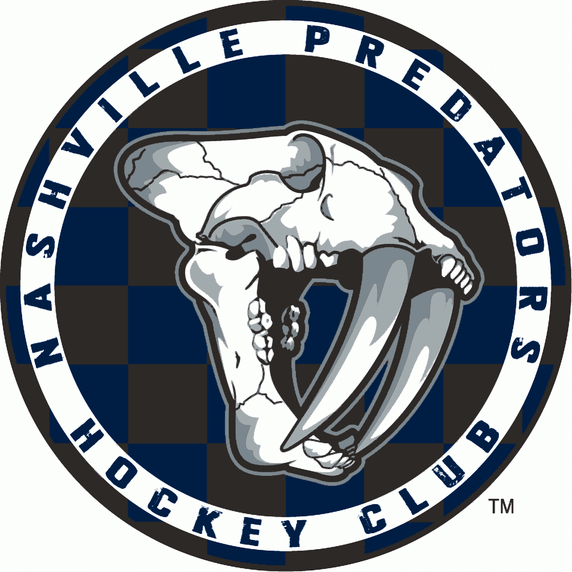 Nashville Predators Sports Image