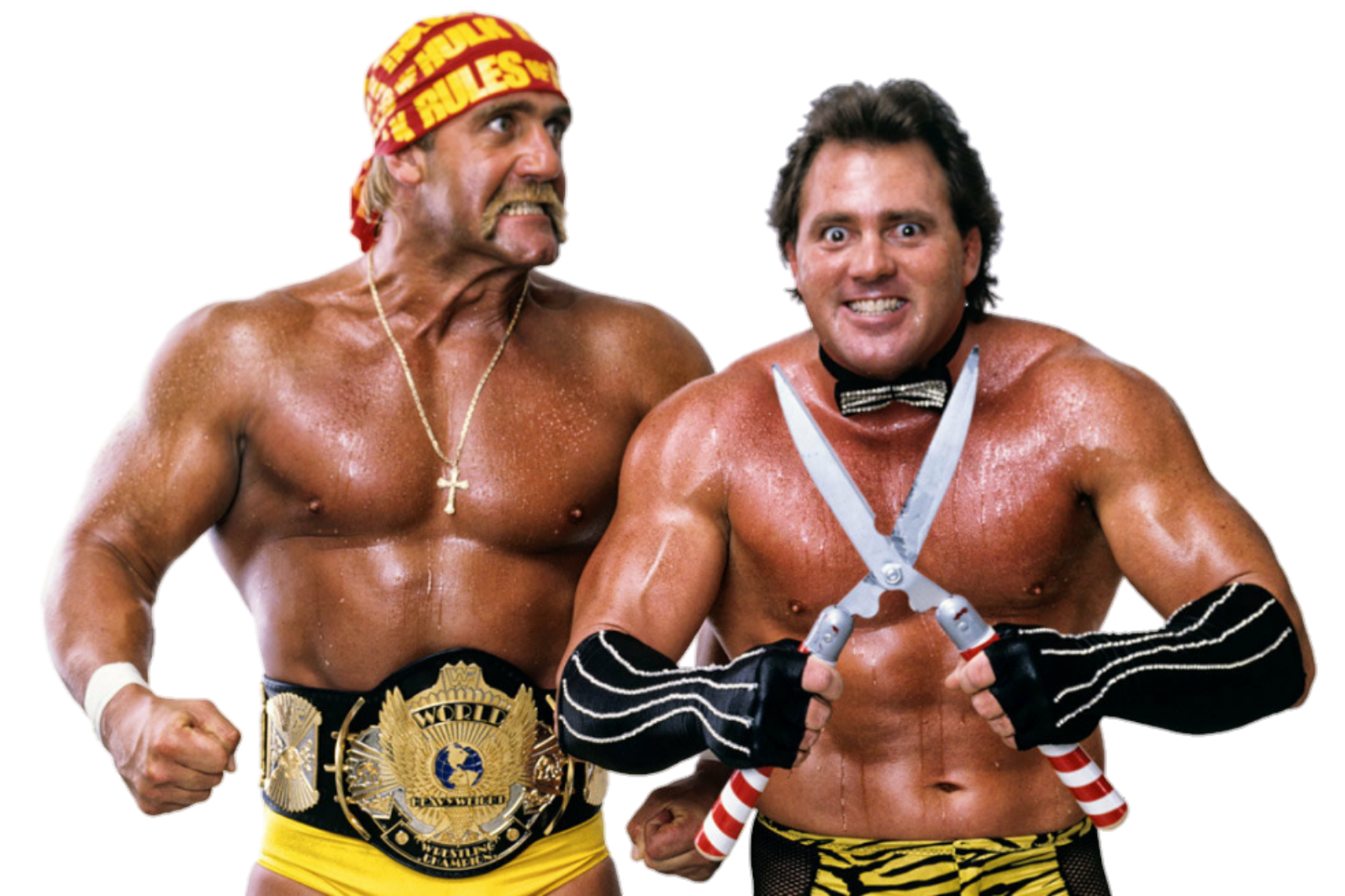  Hulk Hogan &amp; Brutus Beefcake - WWE