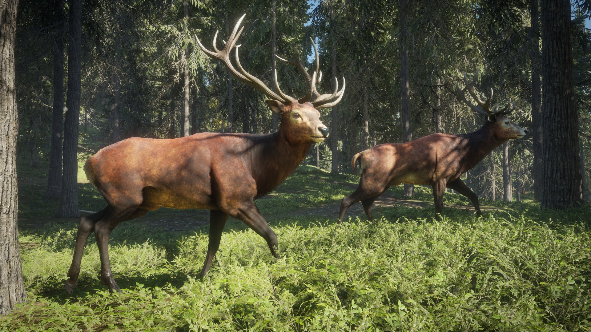 video game theHunter: Call of The Wild Image
