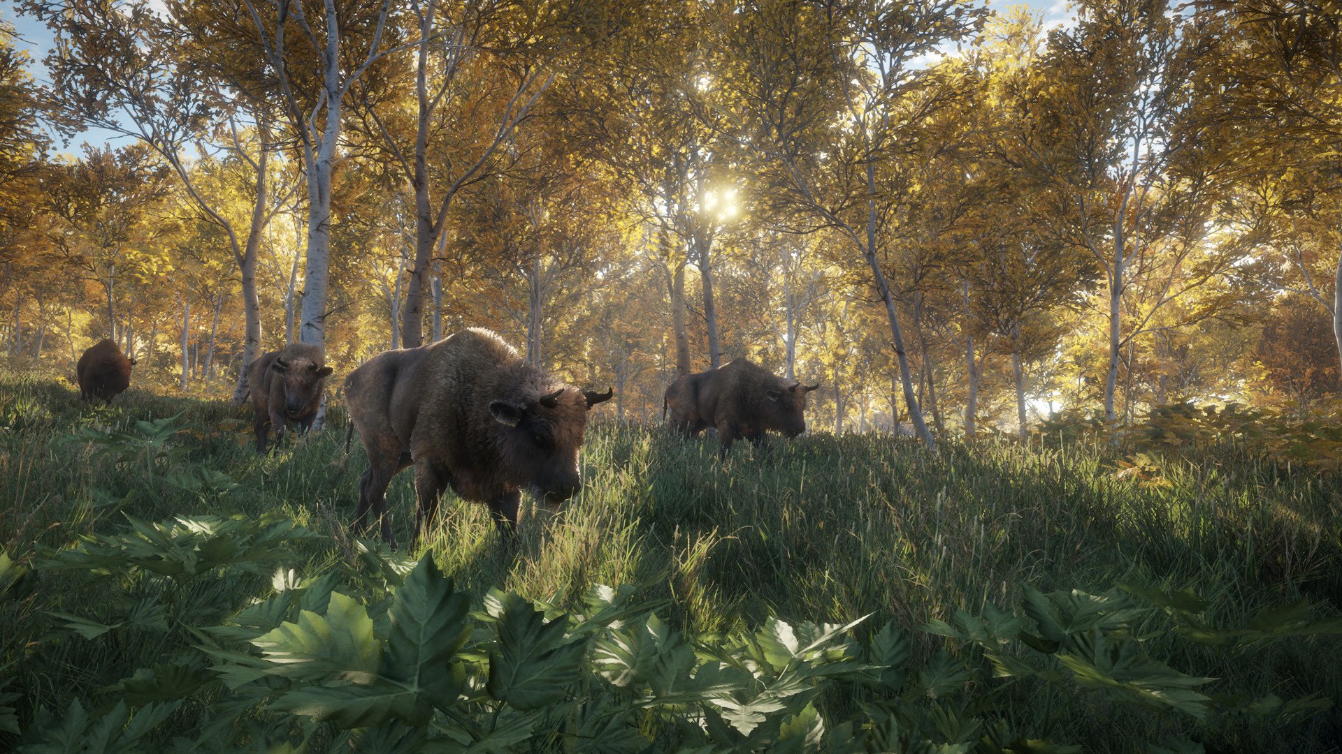 video game theHunter: Call of The Wild Image